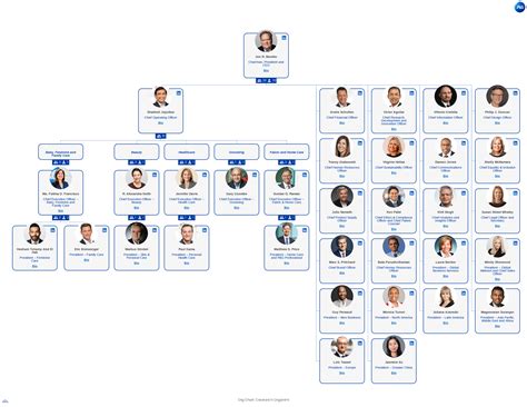 subsidiaries of procter and gamble|P&G corporate structure .